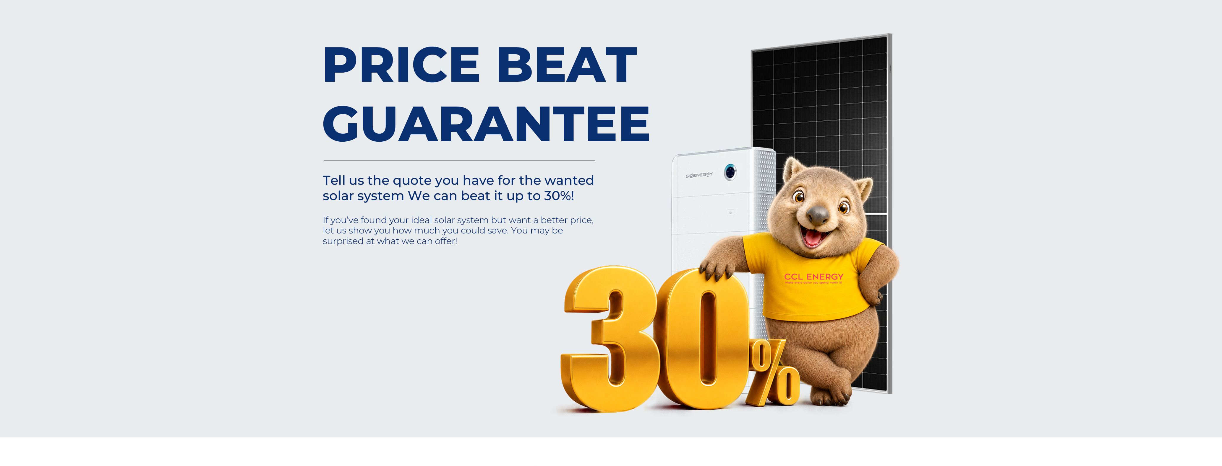 Price Beat Guarantee: solar panels, battery, mascot and up to 30 percent offer